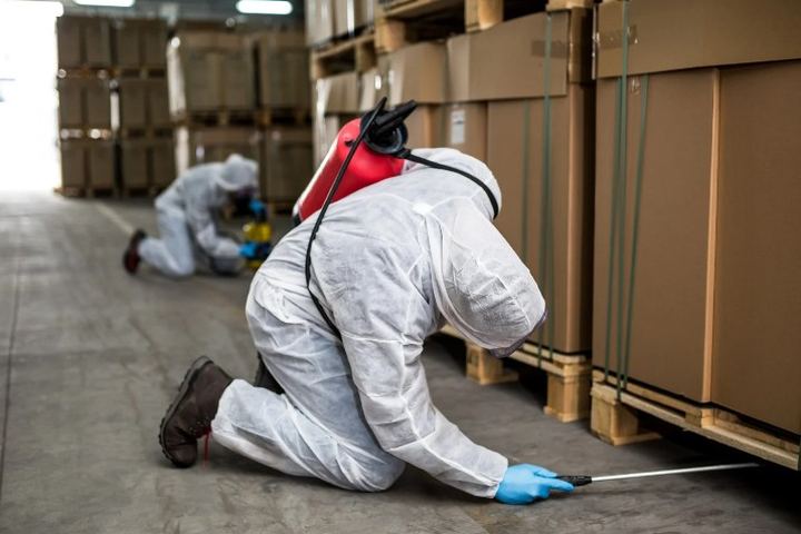 Dos técnicos con buzo blanco tratan el suelo perimetral de un almacén entre palés de cajas de cartón apiladas
