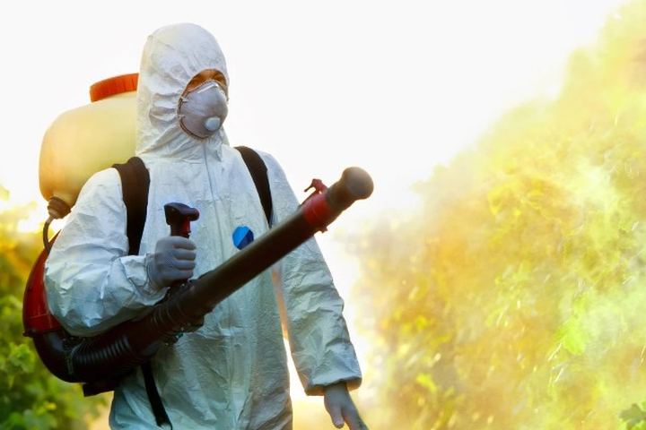 Operario con equipo de protección completo aplica niebla térmica con atomizador de mochila sobre el arbolado de una parcela
