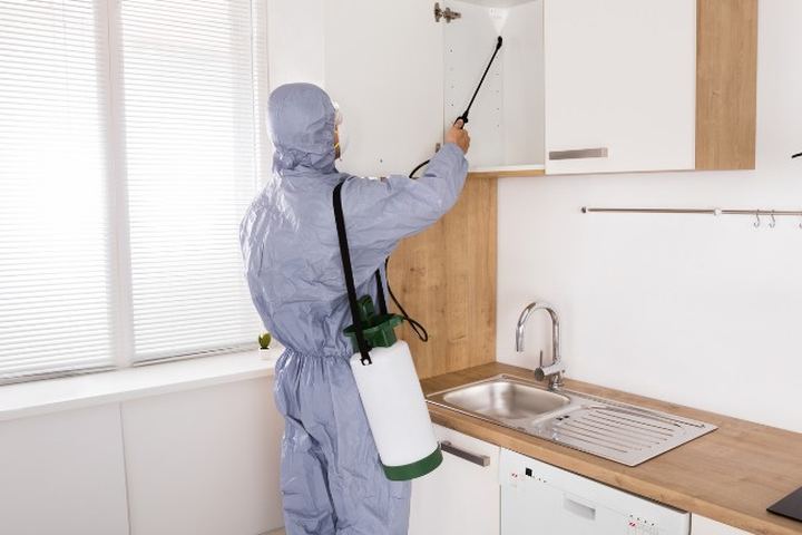Aplicador con buzo gris trata el interior de un armario alto vaciado en una cocina, con el fregadero y la encimera al fondo