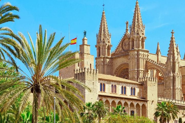 Catedral de Palma y murallas del casco antiguo vistas entre palmeras en un día despejado